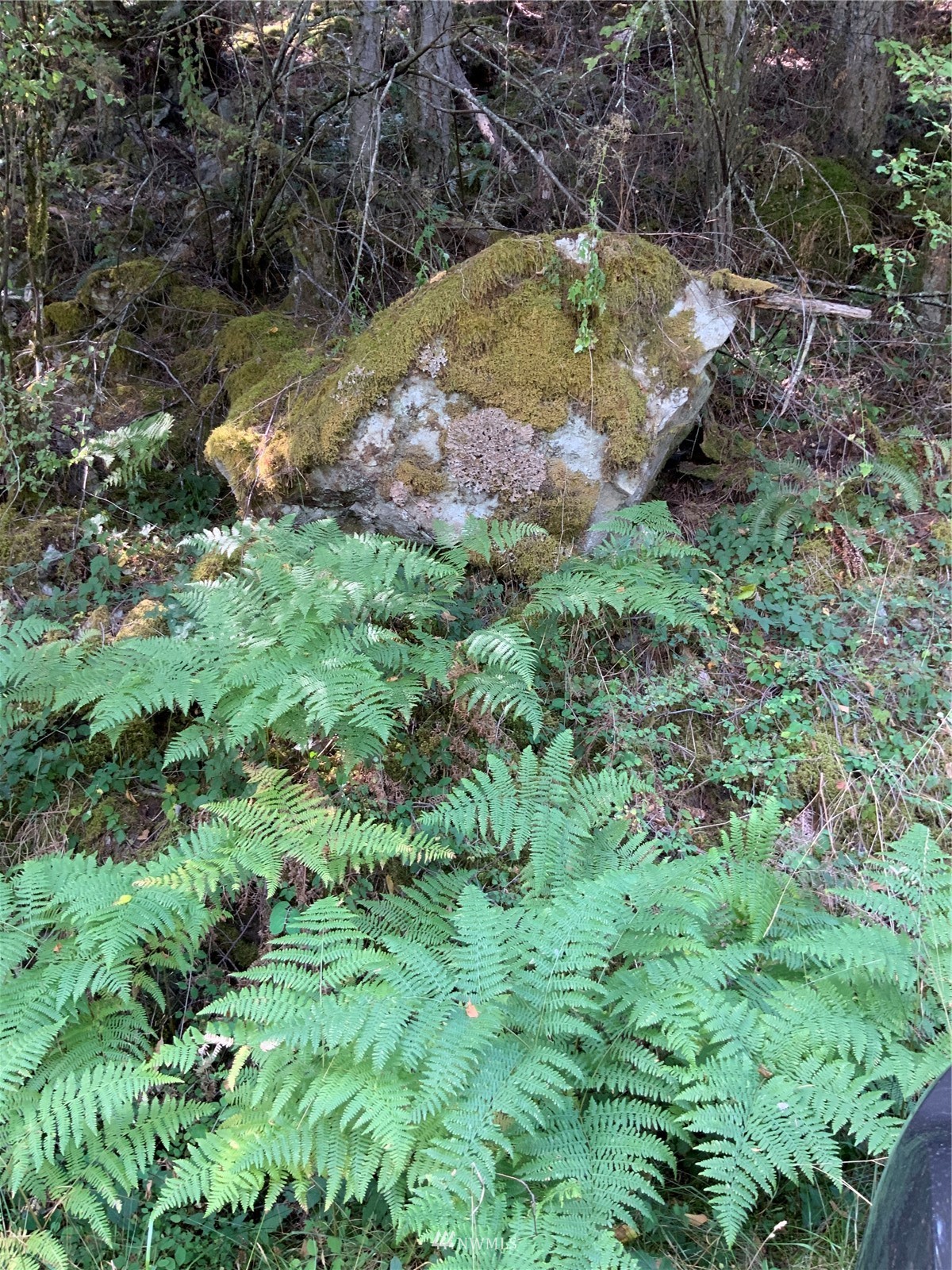 0 Spring Point Road Deer Harbor, WA 98243 - Photo 27 of 29 Gallery Image 27