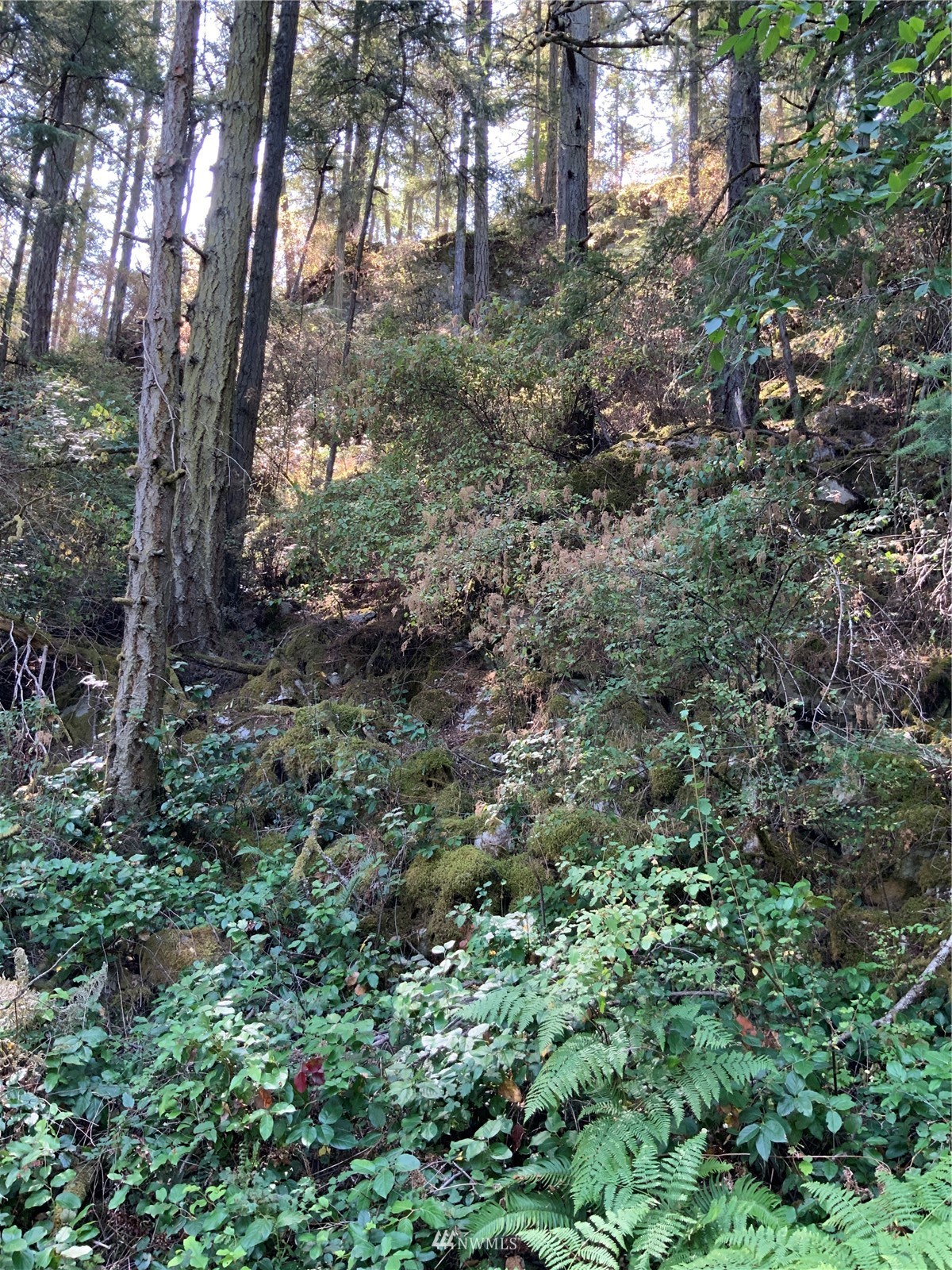 0 Spring Point Road Deer Harbor, WA 98243 - Photo 28 of 29 Gallery Image 28