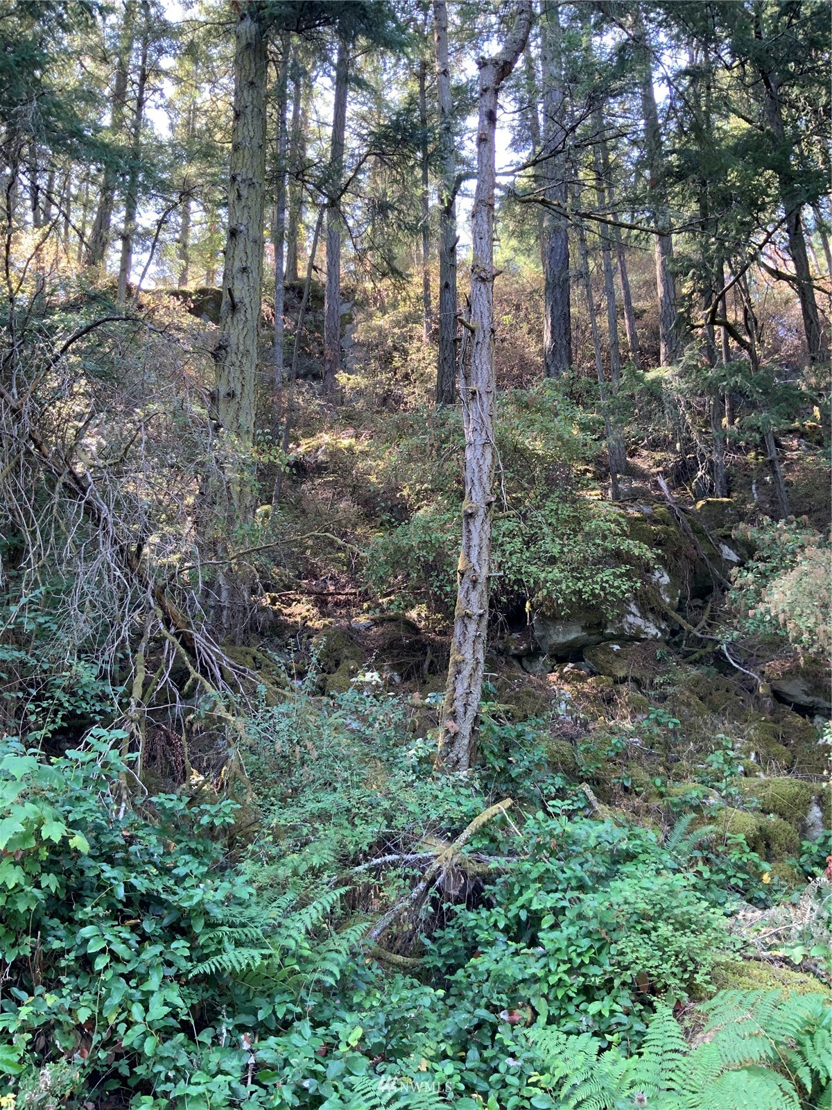 0 Spring Point Road Deer Harbor, WA 98243 - Photo 29 of 29 Gallery Image 29