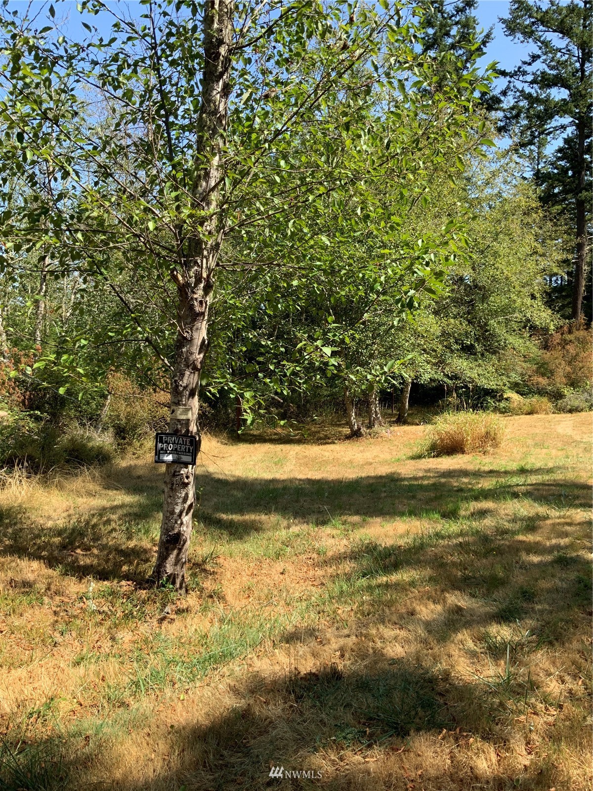 0 Spring Point Road Deer Harbor, WA 98243 - Photo 9 of 29 Gallery Image 9