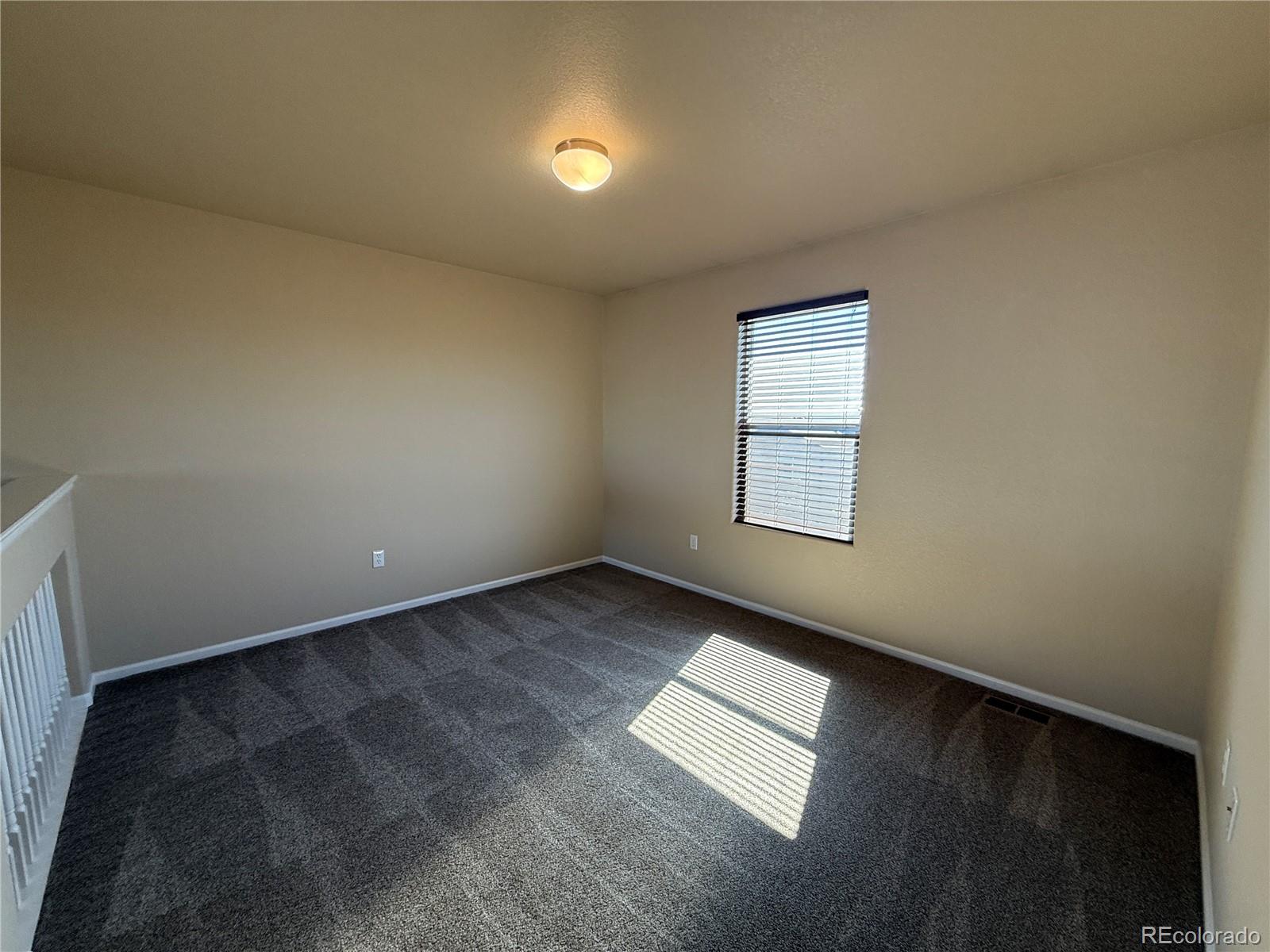 6897 Shimmering Leaf Road Colorado Springs, CO 80908 - Photo 12 of 19