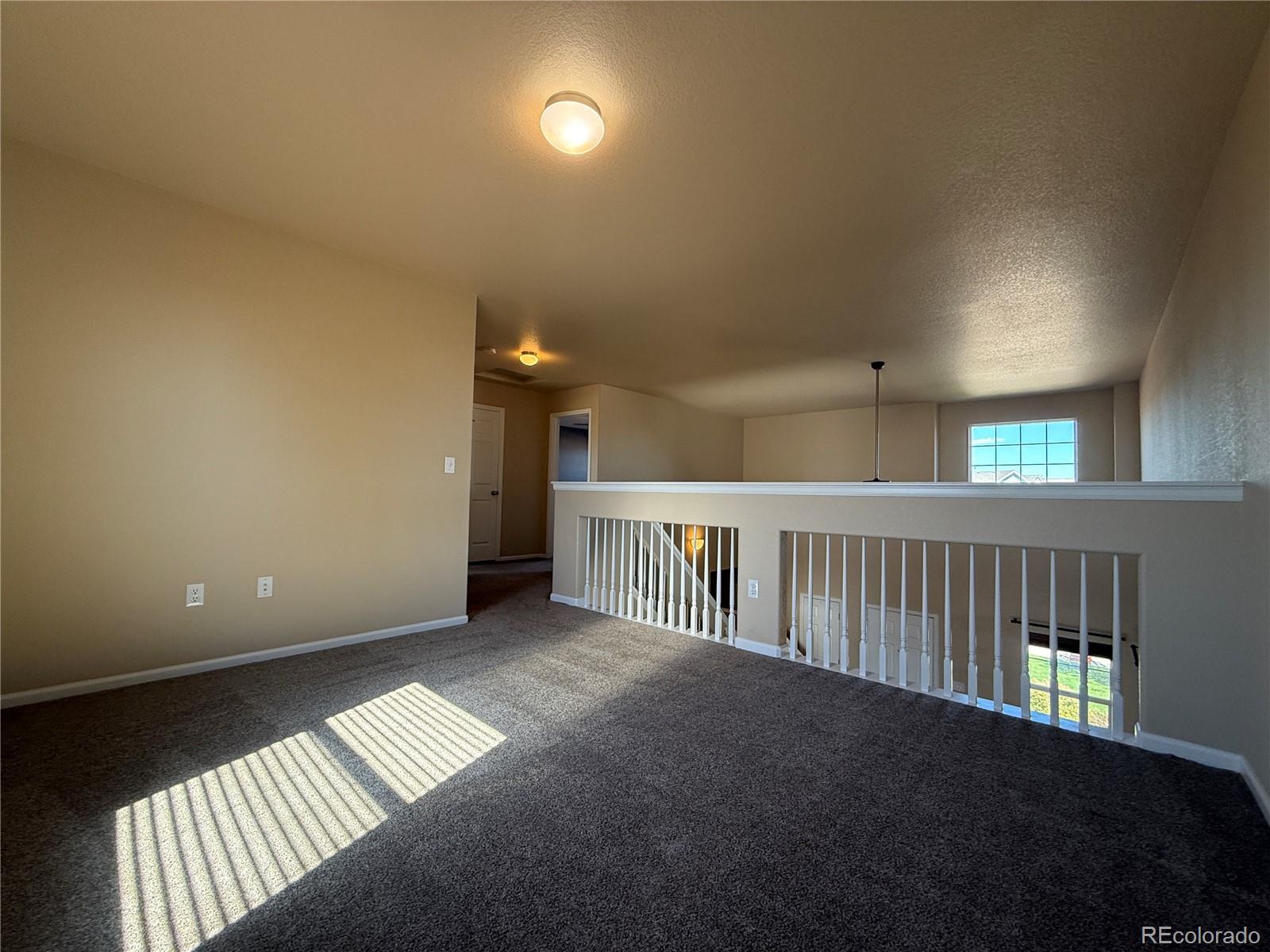 6897 Shimmering Leaf Road Colorado Springs, CO 80908 - Photo 13 of 19
