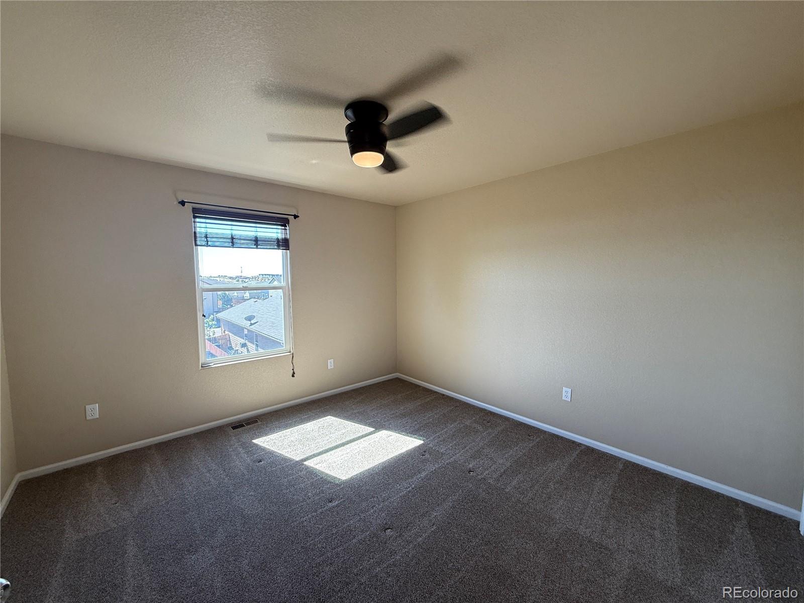 6897 Shimmering Leaf Road Colorado Springs, CO 80908 - Photo 15 of 19