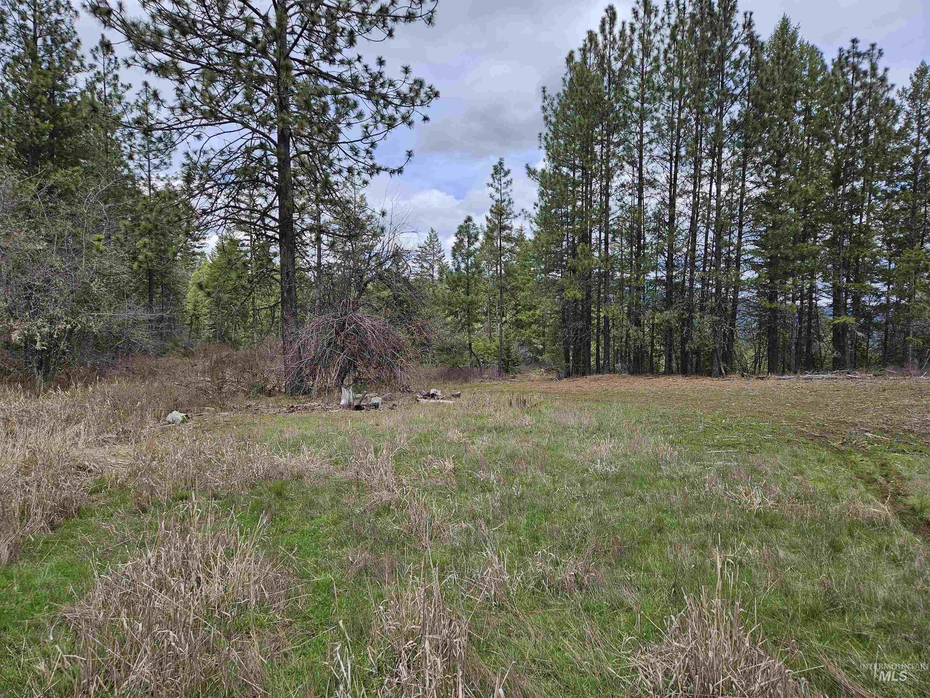 Tbd Tbd O'brien Orofino, ID 83544 - Photo 11 of 50