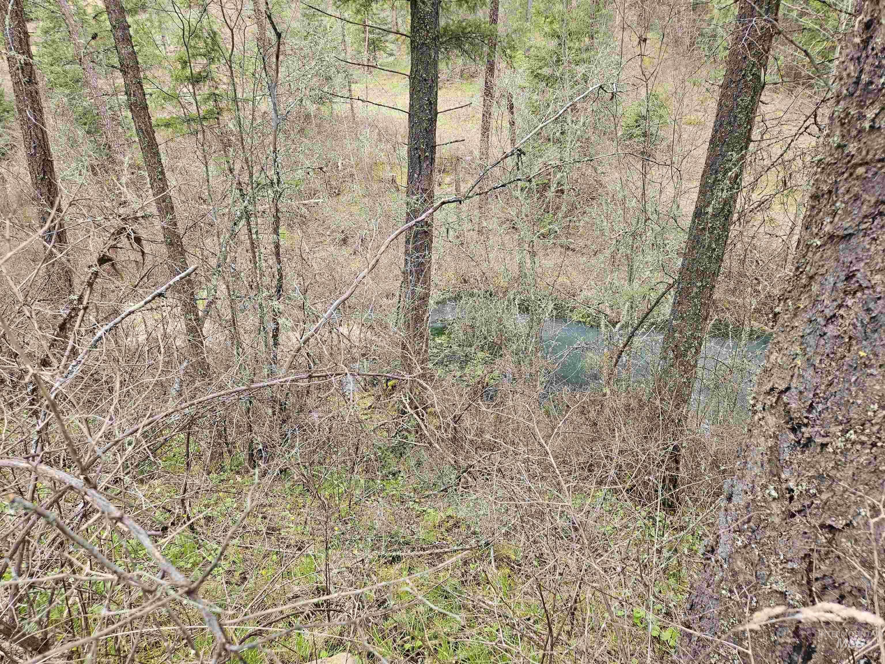 Tbd Tbd O'brien Orofino, ID 83544 - Photo 22 of 50