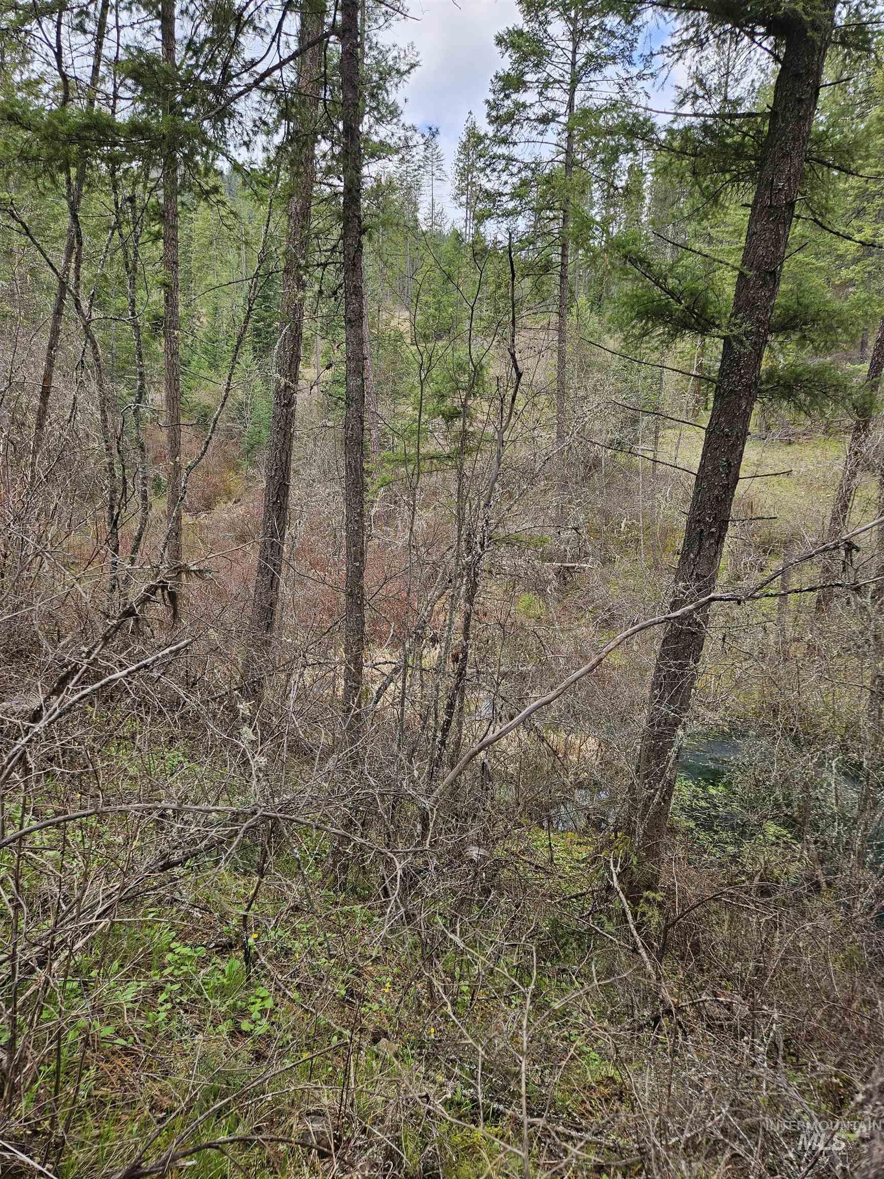 Tbd Tbd O'brien Orofino, ID 83544 - Photo 23 of 50