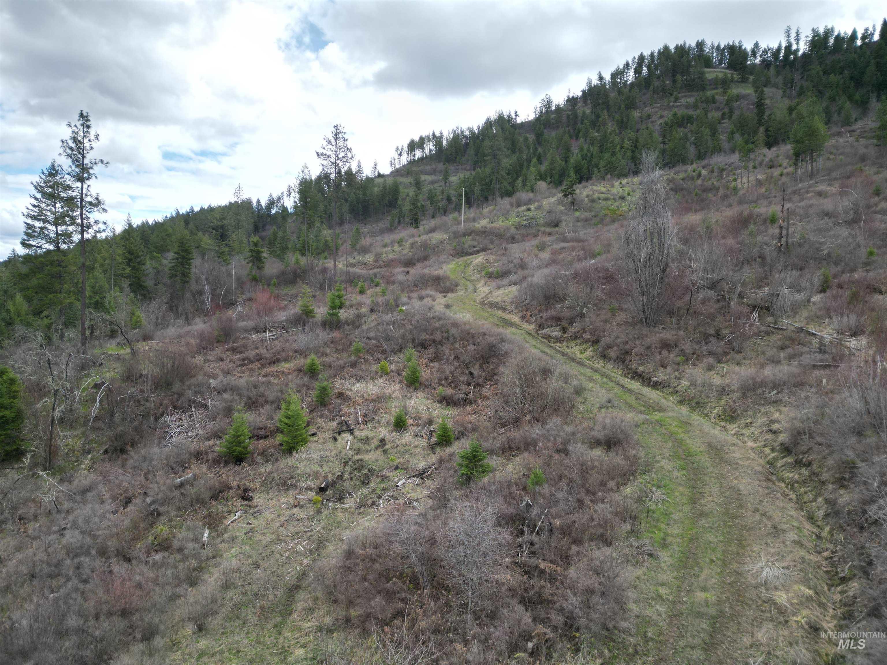 Tbd Tbd O'brien Orofino, ID 83544 - Photo 27 of 50