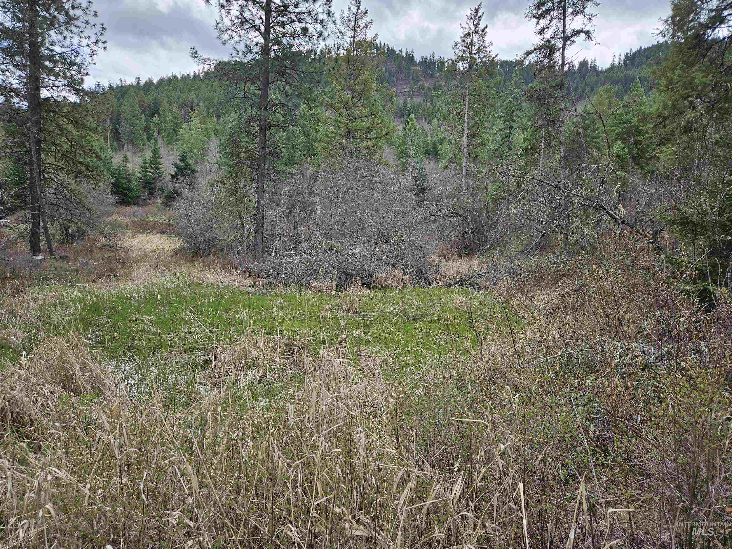Tbd Tbd O'brien Orofino, ID 83544 - Photo 3 of 50