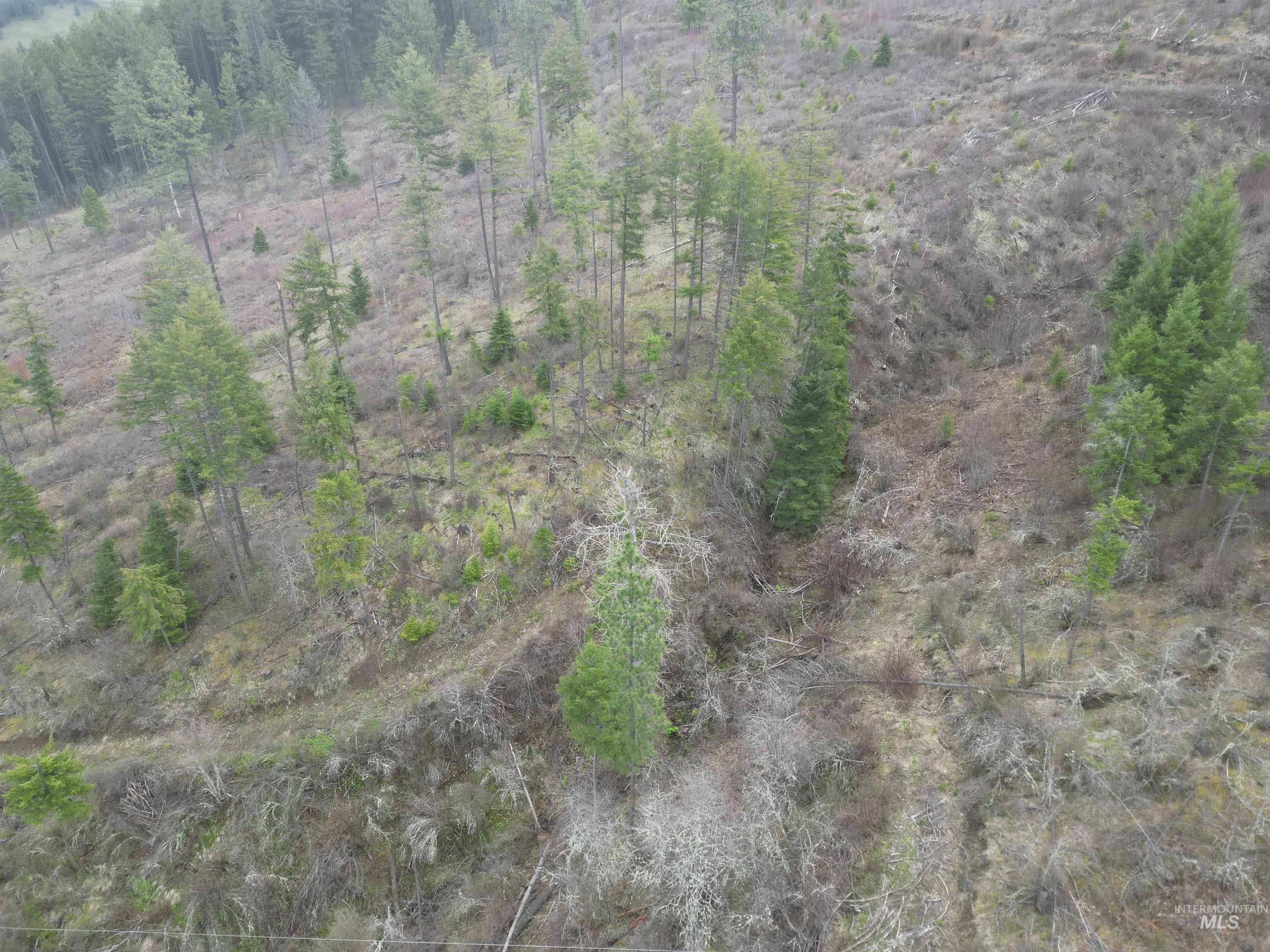 Tbd Tbd O'brien Orofino, ID 83544 - Photo 35 of 50