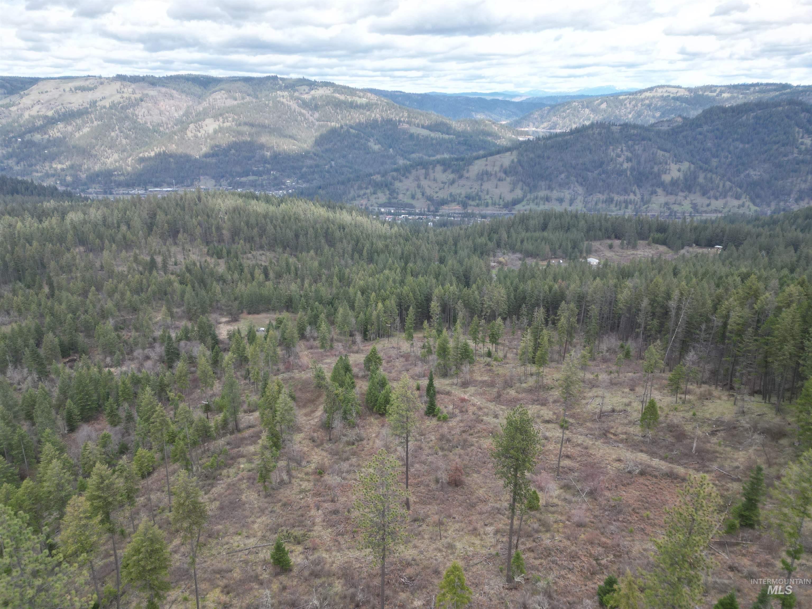 Tbd Tbd O'brien Orofino, ID 83544 - Photo 40 of 50