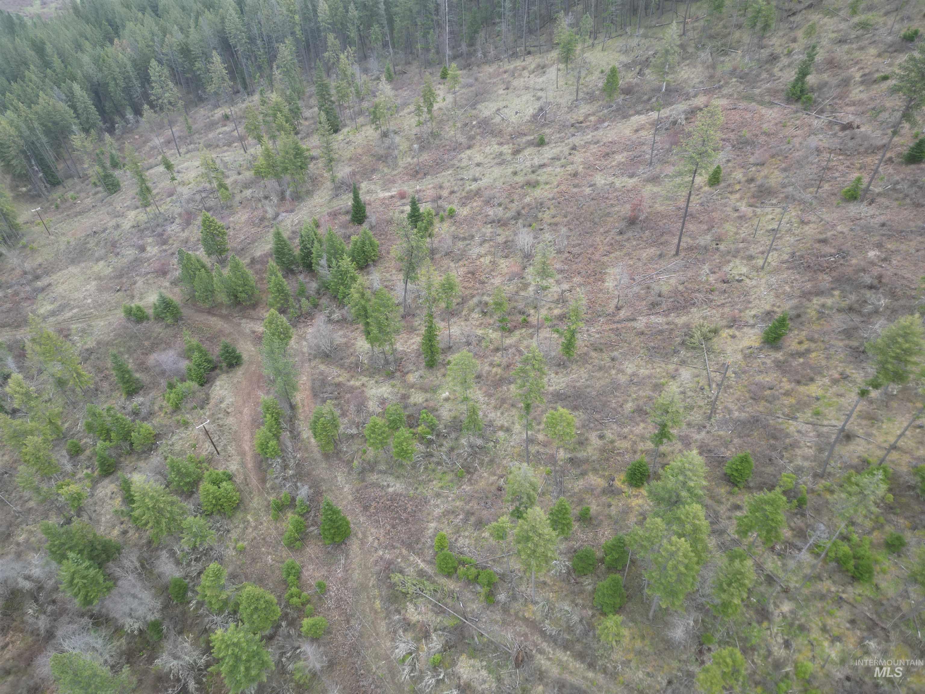 Tbd Tbd O'brien Orofino, ID 83544 - Photo 43 of 50