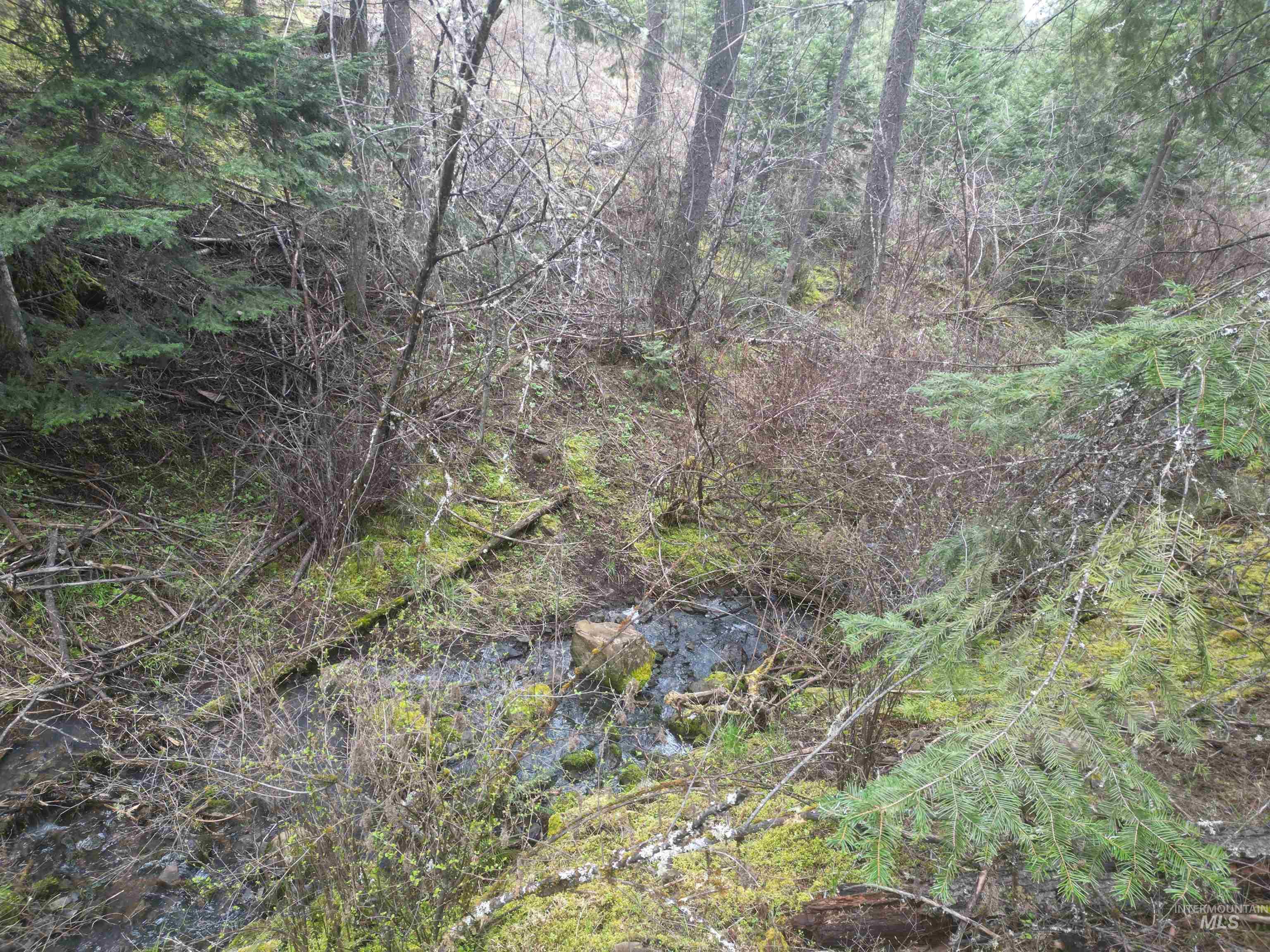 Tbd Tbd O'brien Orofino, ID 83544 - Photo 44 of 50