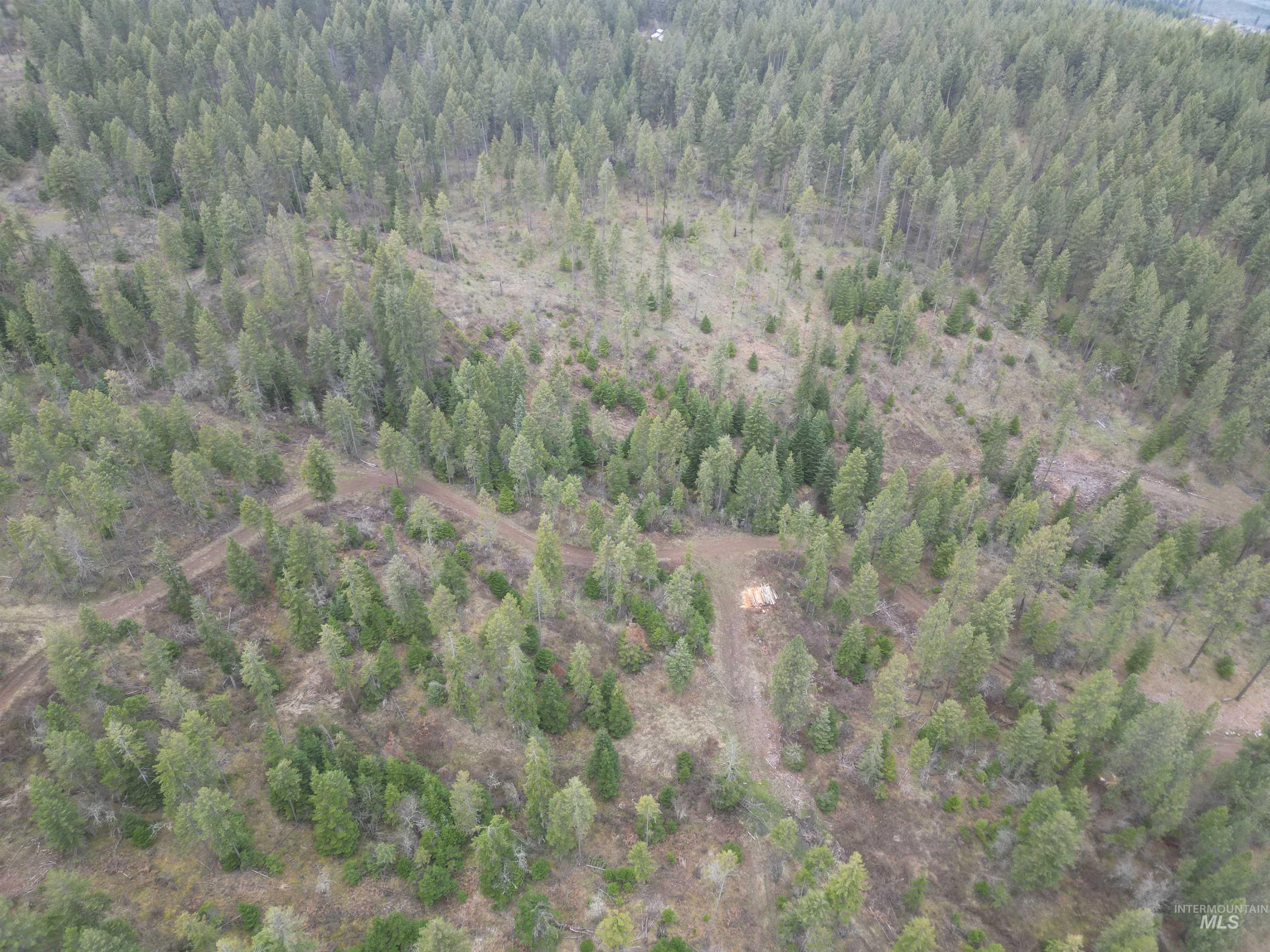 Tbd Tbd O'brien Orofino, ID 83544 - Photo 48 of 50