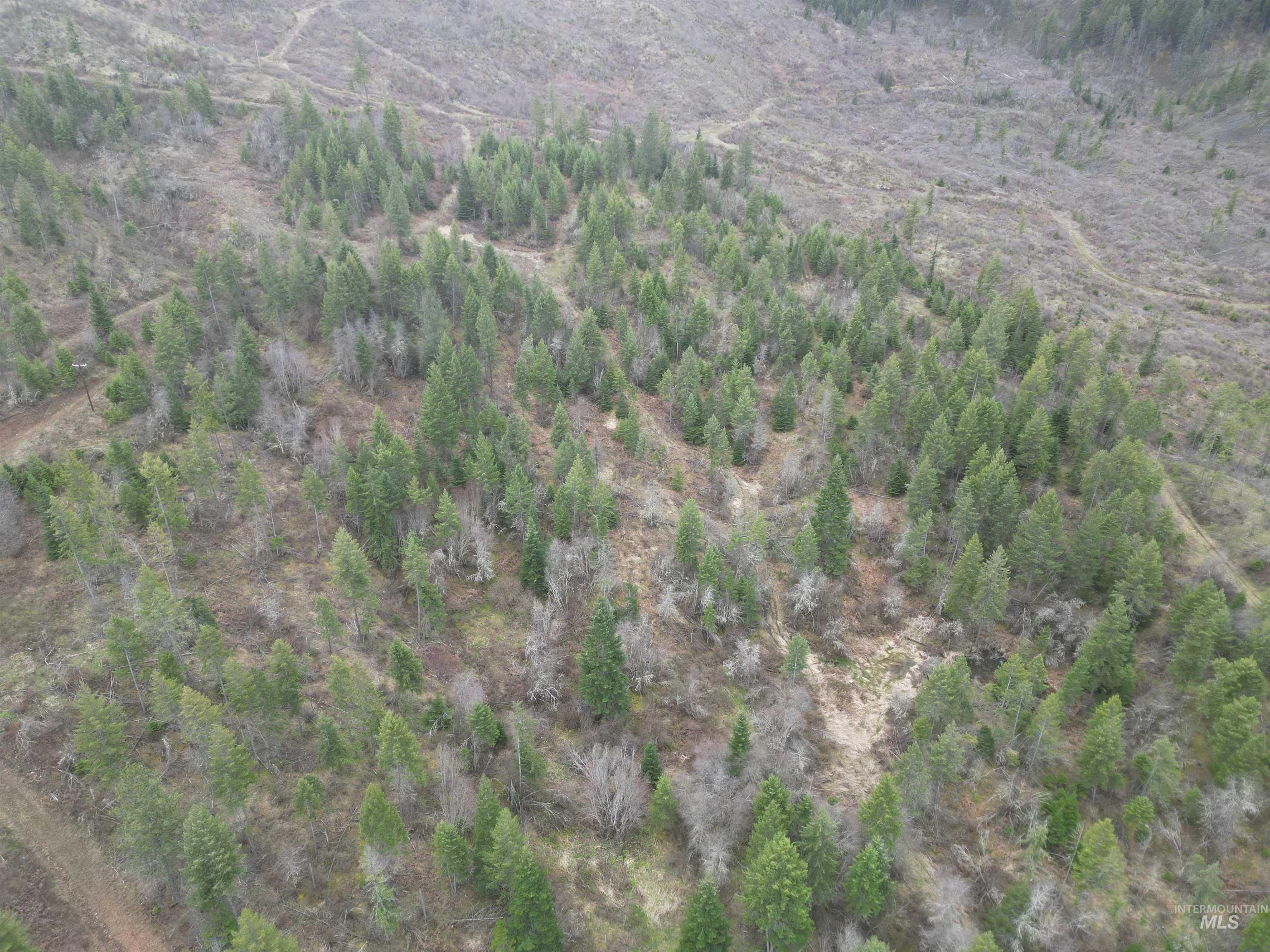 Tbd Tbd O'brien Orofino, ID 83544 - Photo 50 of 50