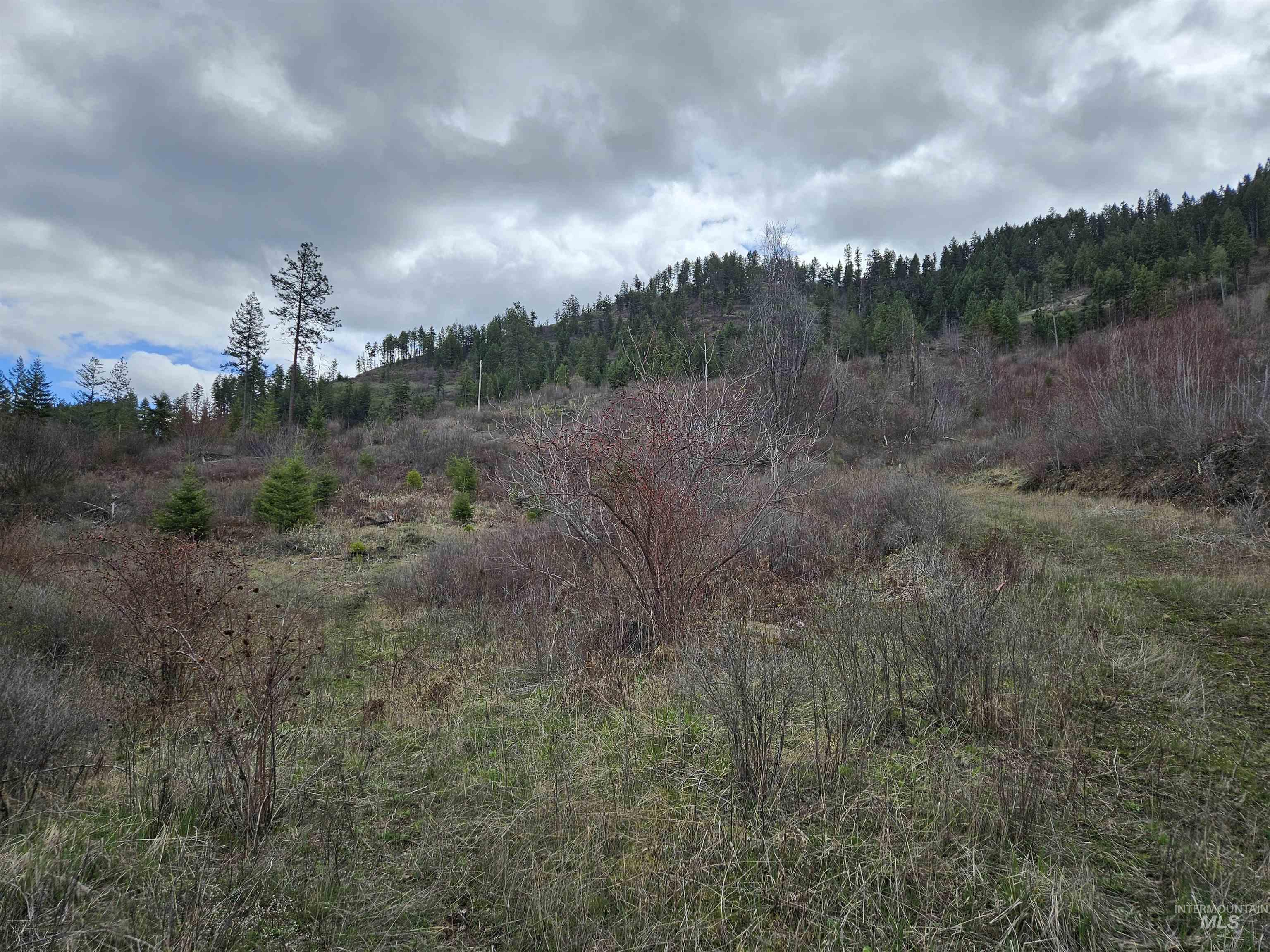 Tbd Tbd O'brien Orofino, ID 83544 - Photo 7 of 50