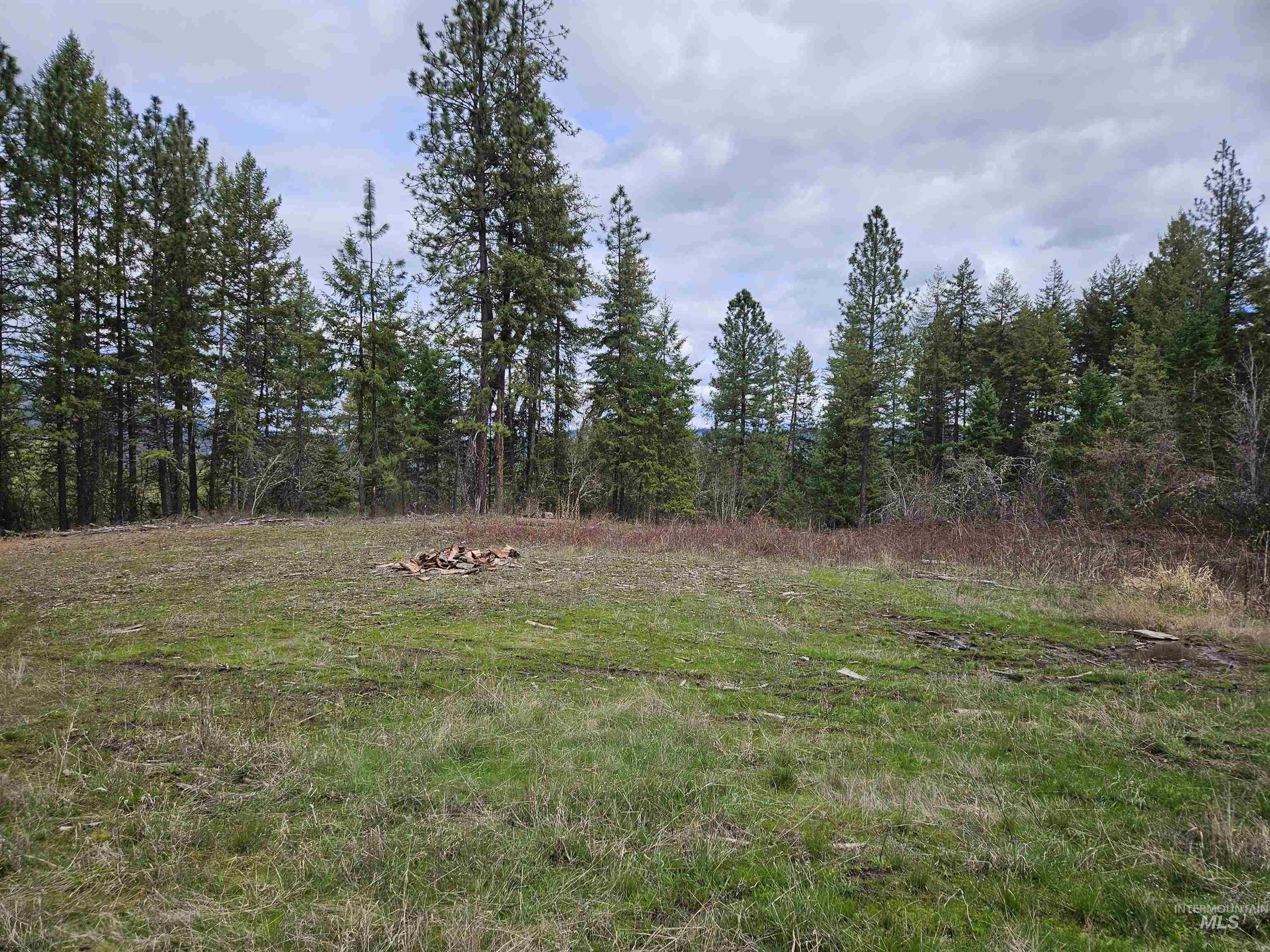 Tbd Tbd O'brien Orofino, ID 83544 - Photo 10 of 50