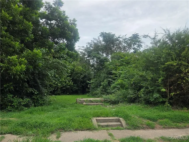 a view of a park with large trees