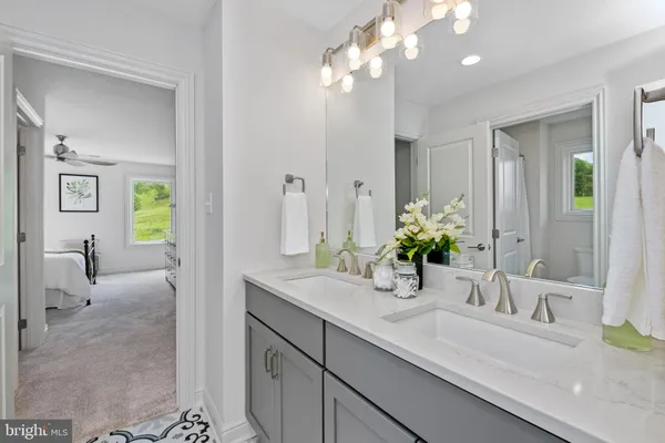 a bathroom with a sink a potted plant and a mirror
