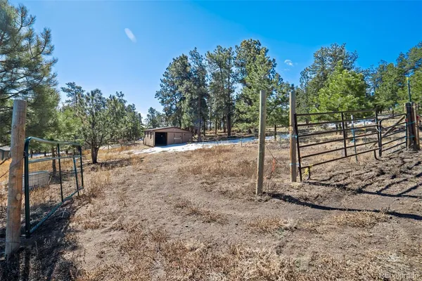 $699,999 | 201 Terry Lane, Guffey, CO 80820