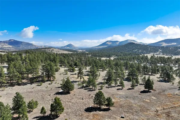 $699,999 | 201 Terry Lane, Guffey, CO 80820