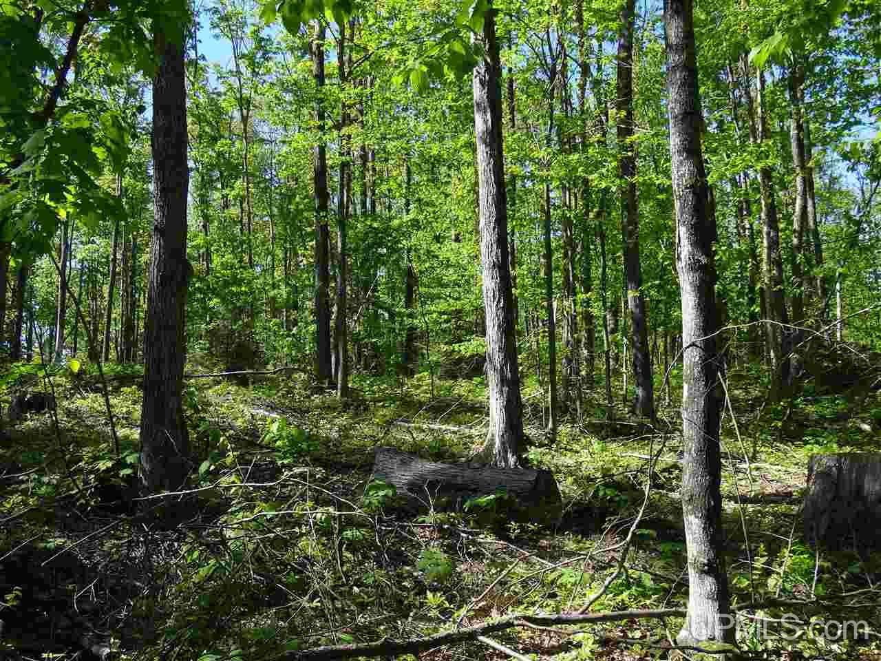 Tbd West Heinola Road Atlantic Mine, MI 49931 - Photo 10 of 17