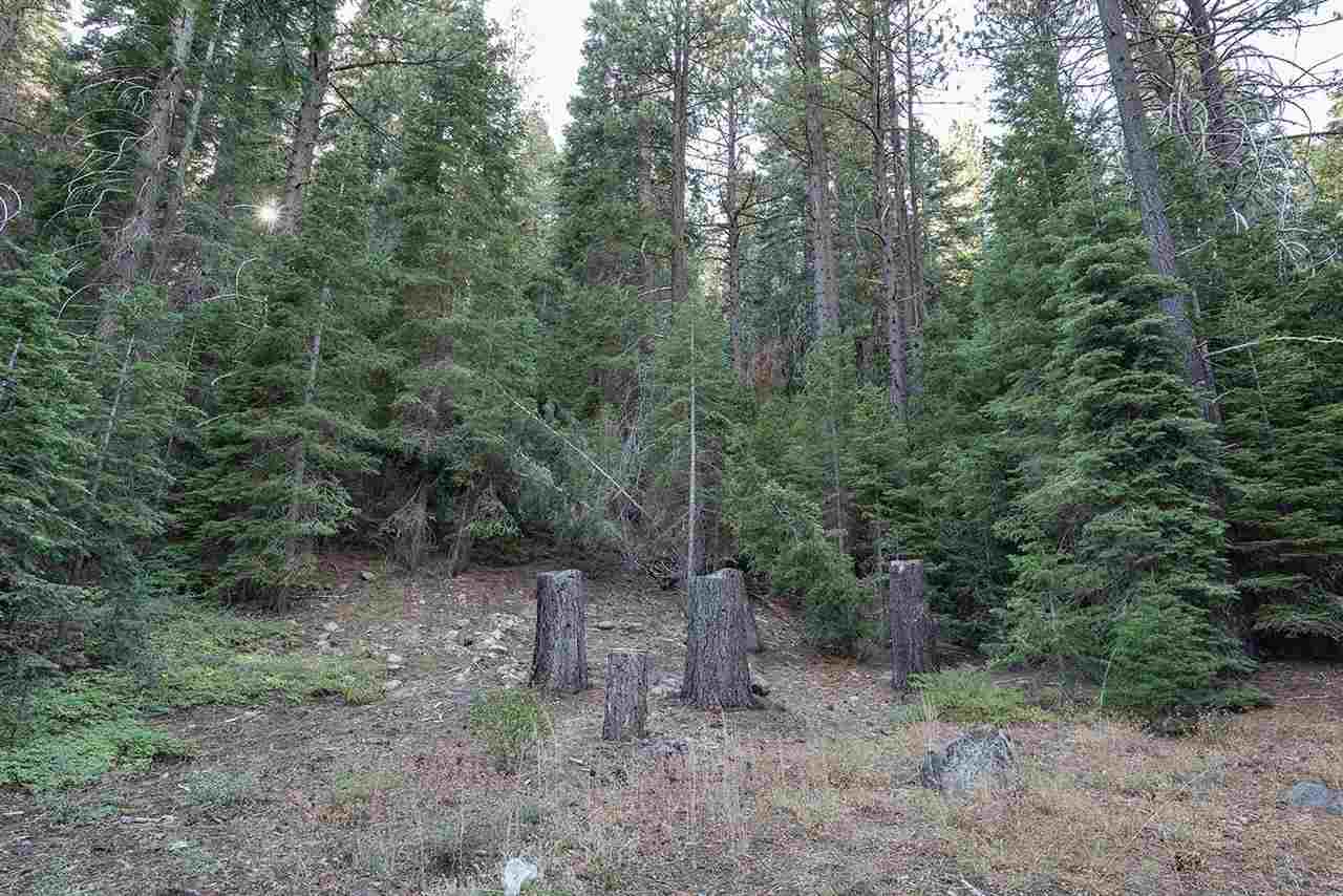 7845 River Road Olympic Valley, CA 96146 - Photo 8 of 10 Gallery Image 8