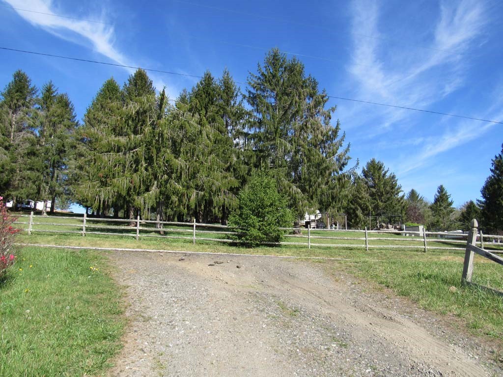274-272 Raccoon Hollow Road Jefferson, NC 28640 - Photo 28 of 32