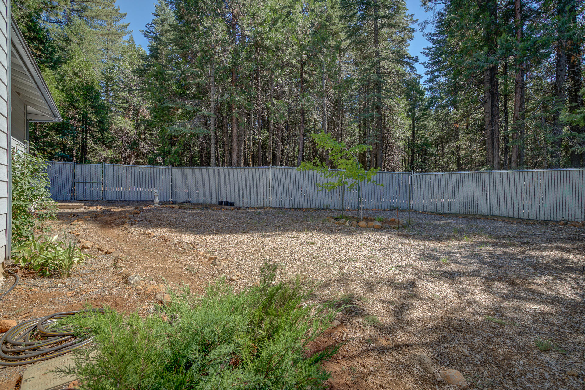8303 Amberwoods Place Shingletown, CA 96088 - Photo 54 of 58 a view of a backyard