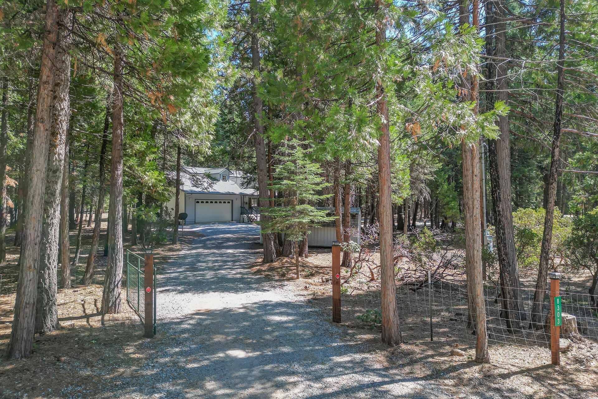8303 Amberwoods Place Shingletown, CA 96088 - Photo 57 of 58 Live under the trees!
