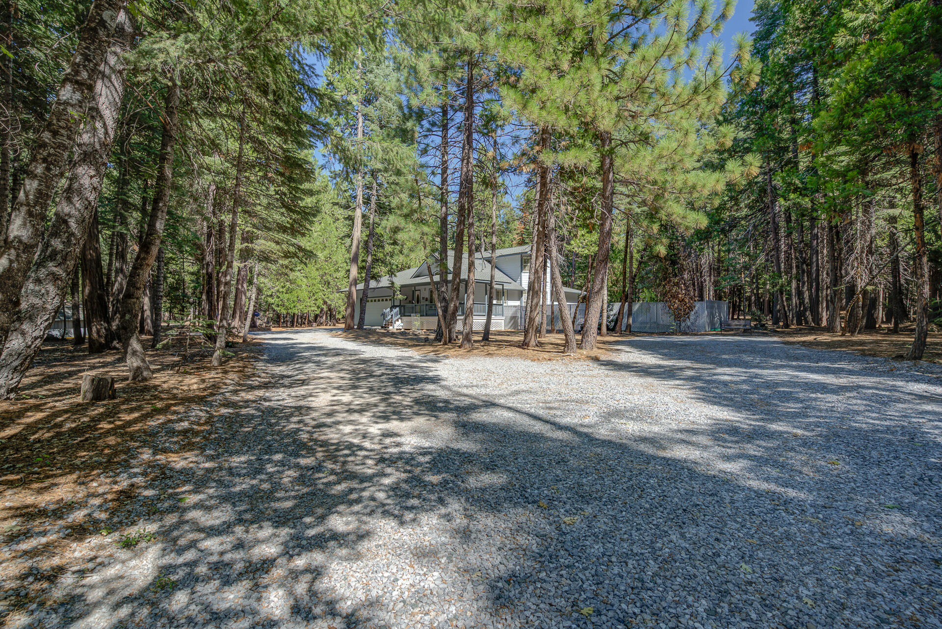 8303 Amberwoods Place Shingletown, CA 96088 - Photo 58 of 58 a view of outdoor space with trees