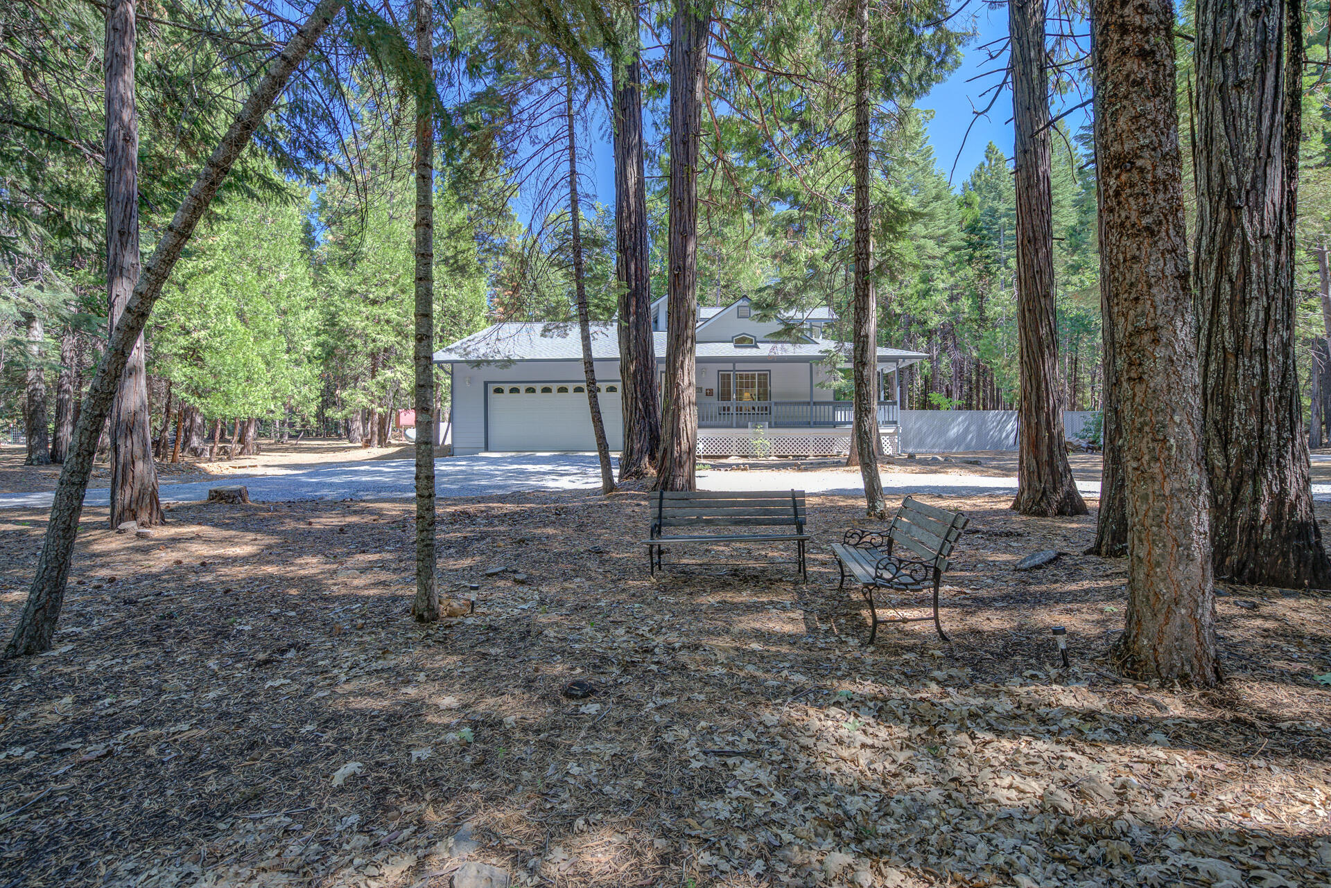 8303 Amberwoods Place Shingletown, CA 96088 - Photo 7 of 58 a backyard of a house with lots of green space