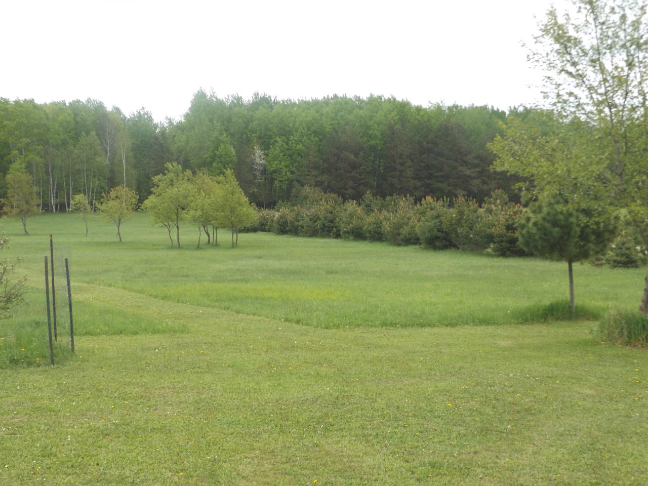 4634 Roberts Lake Road Laona, WI 54541 - Photo 11 of 34 Gallery Image 11