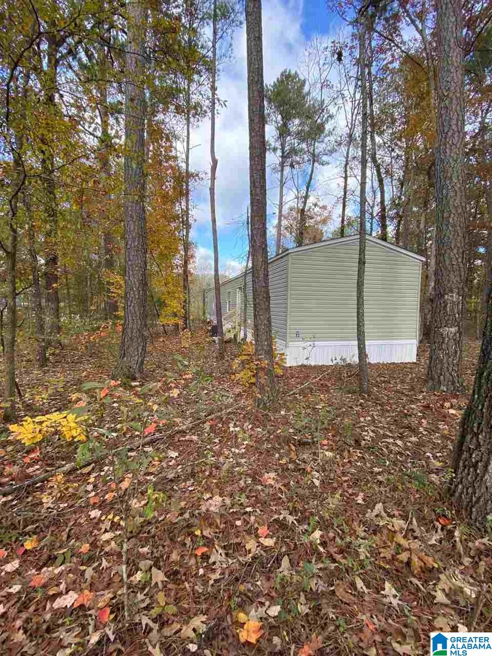 80 Johnson Road Ashville, AL 35953 - Photo 26 of 26