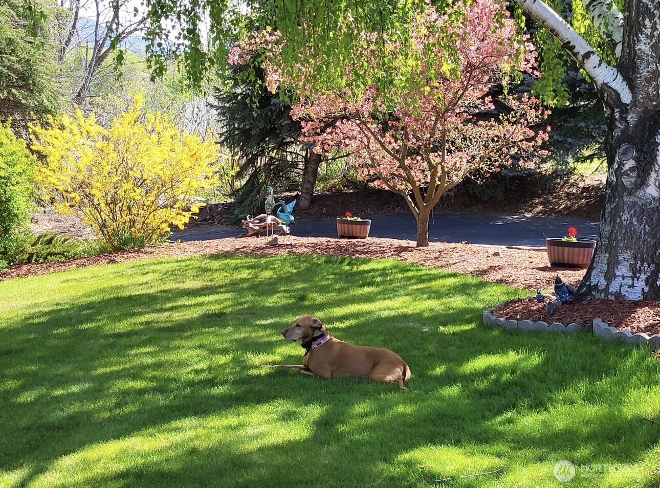 107 A Westlake Road Oroville, WA 98844 - Photo 30 of 40