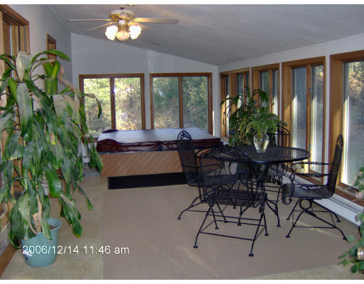 135 Rider Road Westfield, MA 01085 - Photo 6 of 16 a living room with furniture and a potted plant