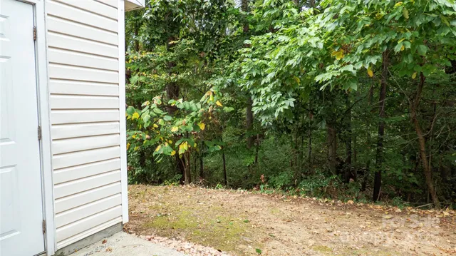 a view of a yard with a tree