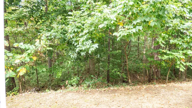 a view of a yard covered in snow