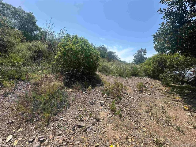 a big yard with lots of green space