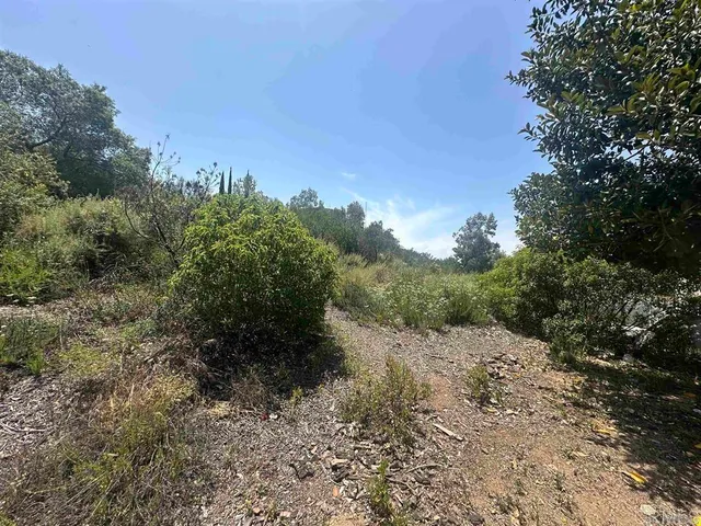 a big yard with lots of green space