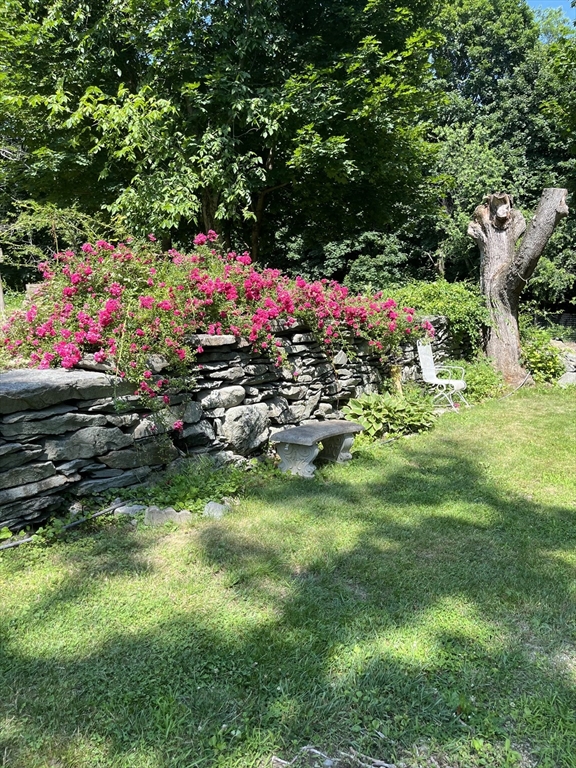 1067 Middle Street Dighton, MA 02764 - Photo 40 of 42 a small garden covered with tall trees