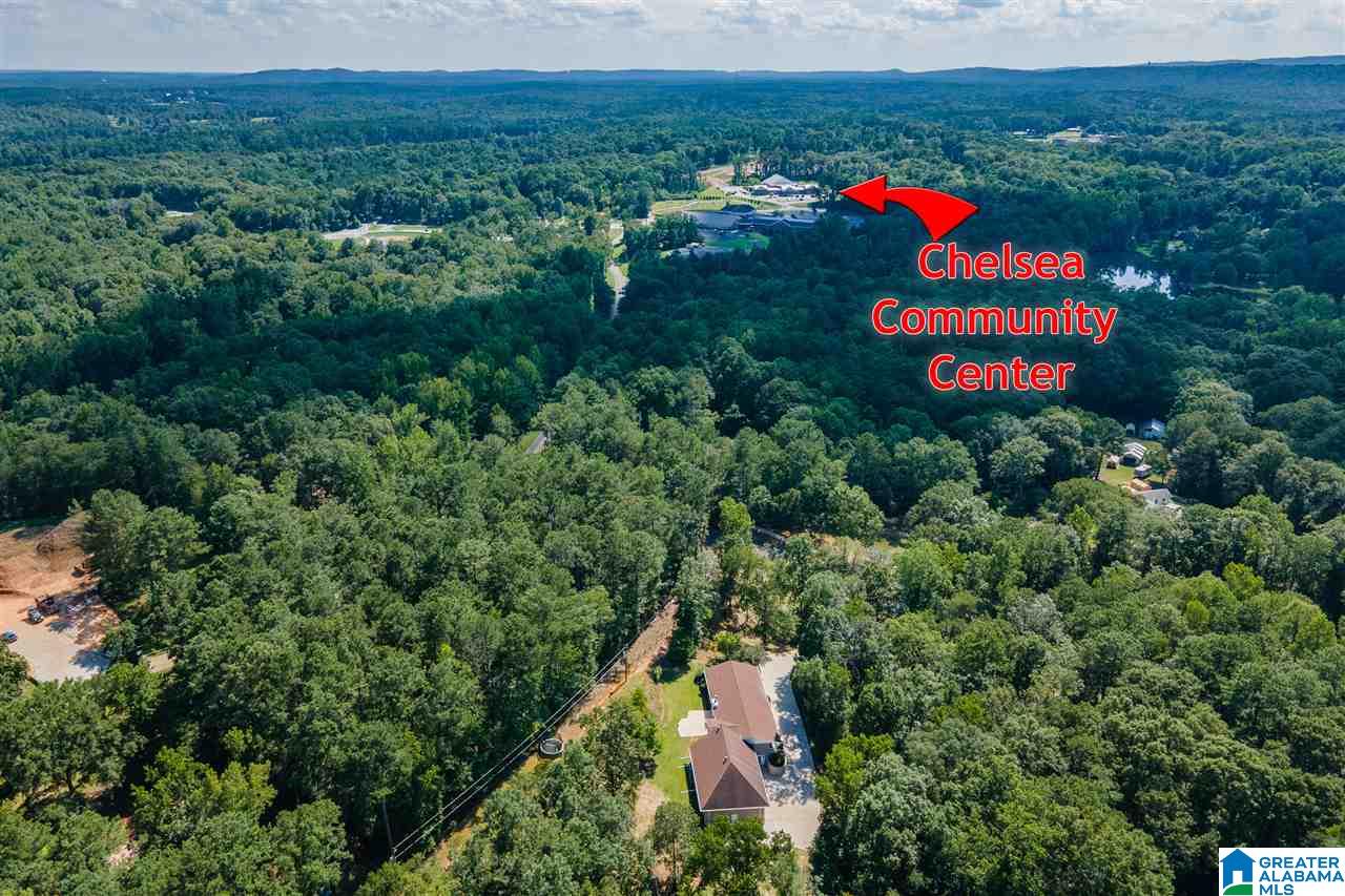 41 North Fork Circle Chelsea, AL 35043 - Photo 3 of 42