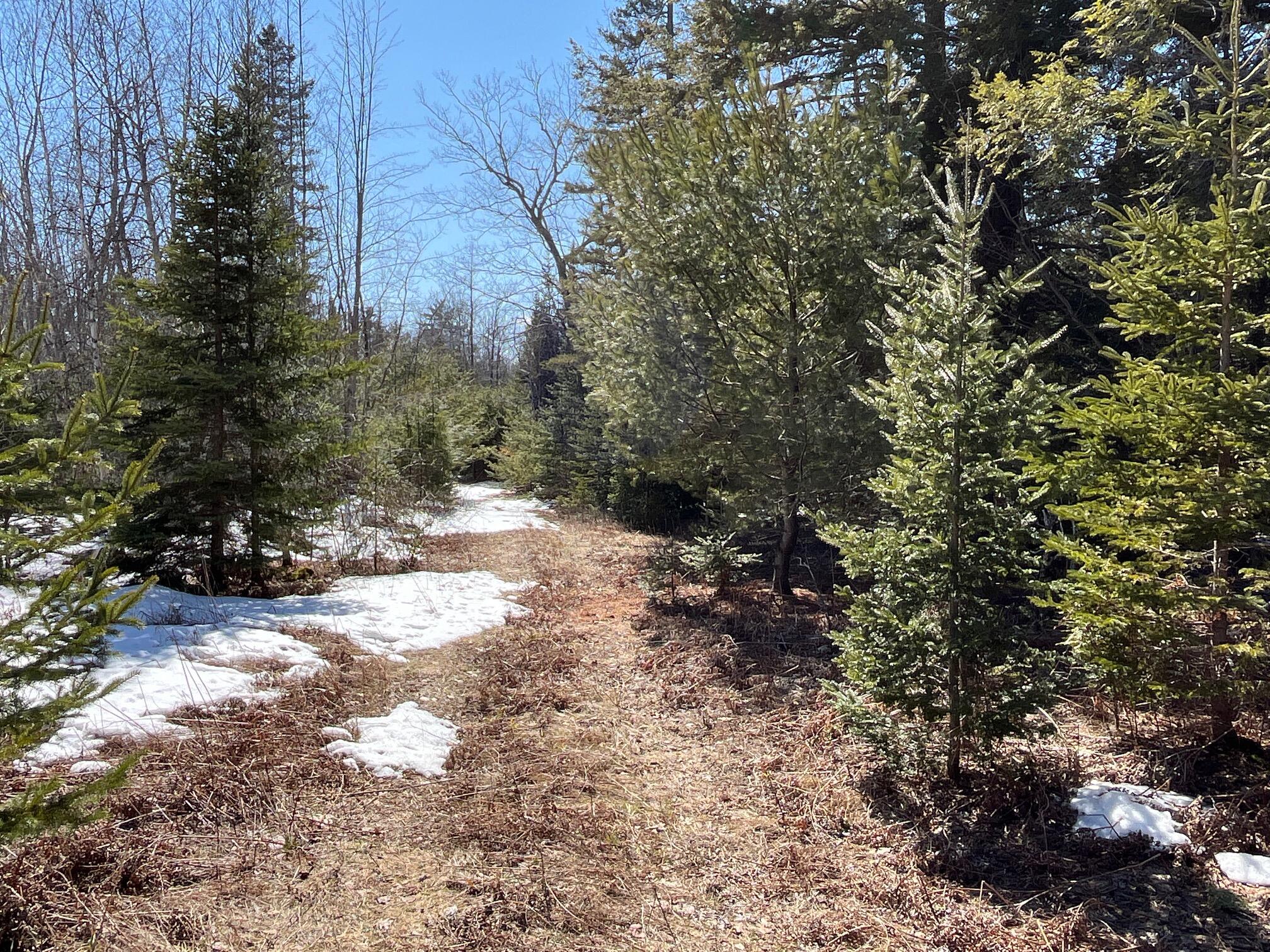 479 Main Road Eddington, ME 04428 - Photo 2 of 28 Trail 2