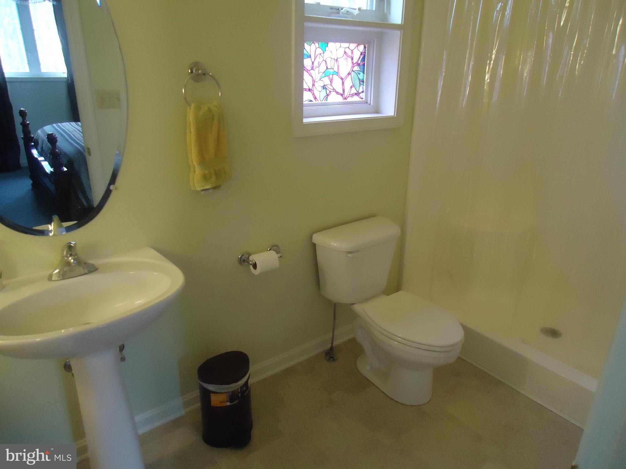 805 Green Spring Road Winchester, VA 22603 - Photo 15 of 22 Bath (Master)