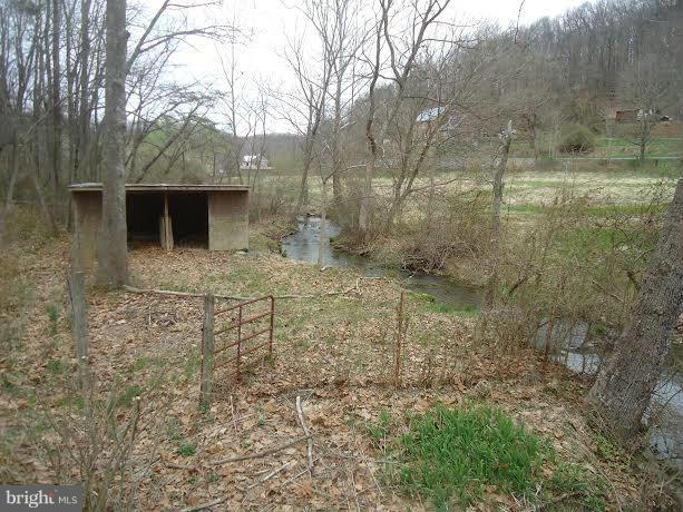 805 Green Spring Road Winchester, VA 22603 - Photo 20 of 22 Run In Shed