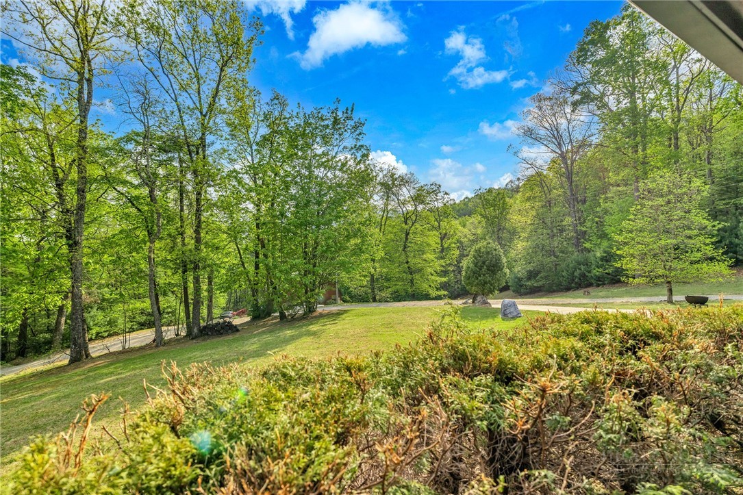 1600 Timber Ridge Road Millers Creek, NC 28651 - Photo 48 of 49