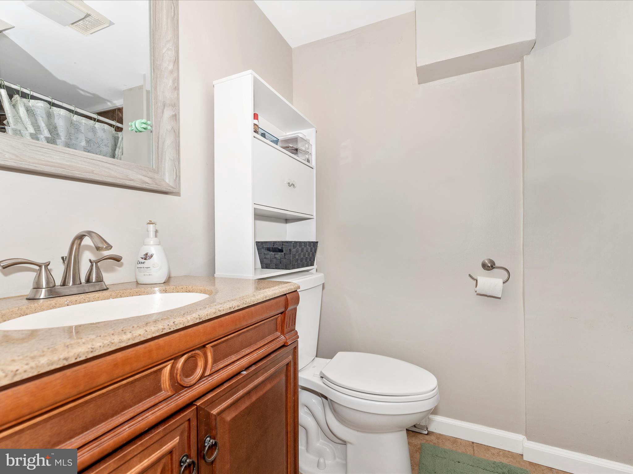 4249 Buffalo Road Mount Airy, MD 21771 - Photo 38 of 57 Lower Level Bathroom