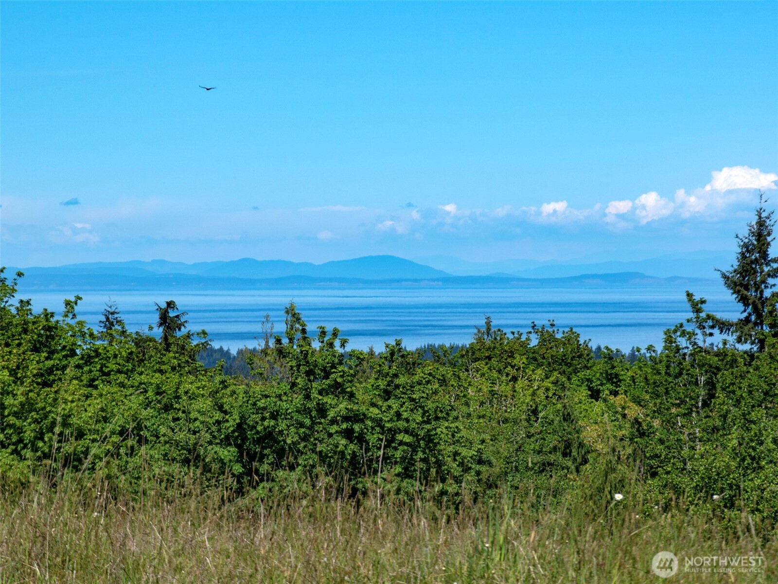 9999 Kruse Road Port Angeles, WA 98362 - Photo 26 of 39