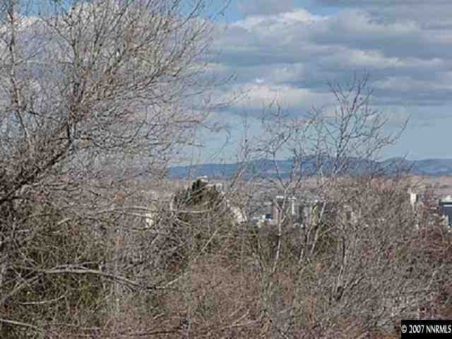 3030 Natalie Street Reno, NV 89509 - Photo 9 of 9 Photo 9