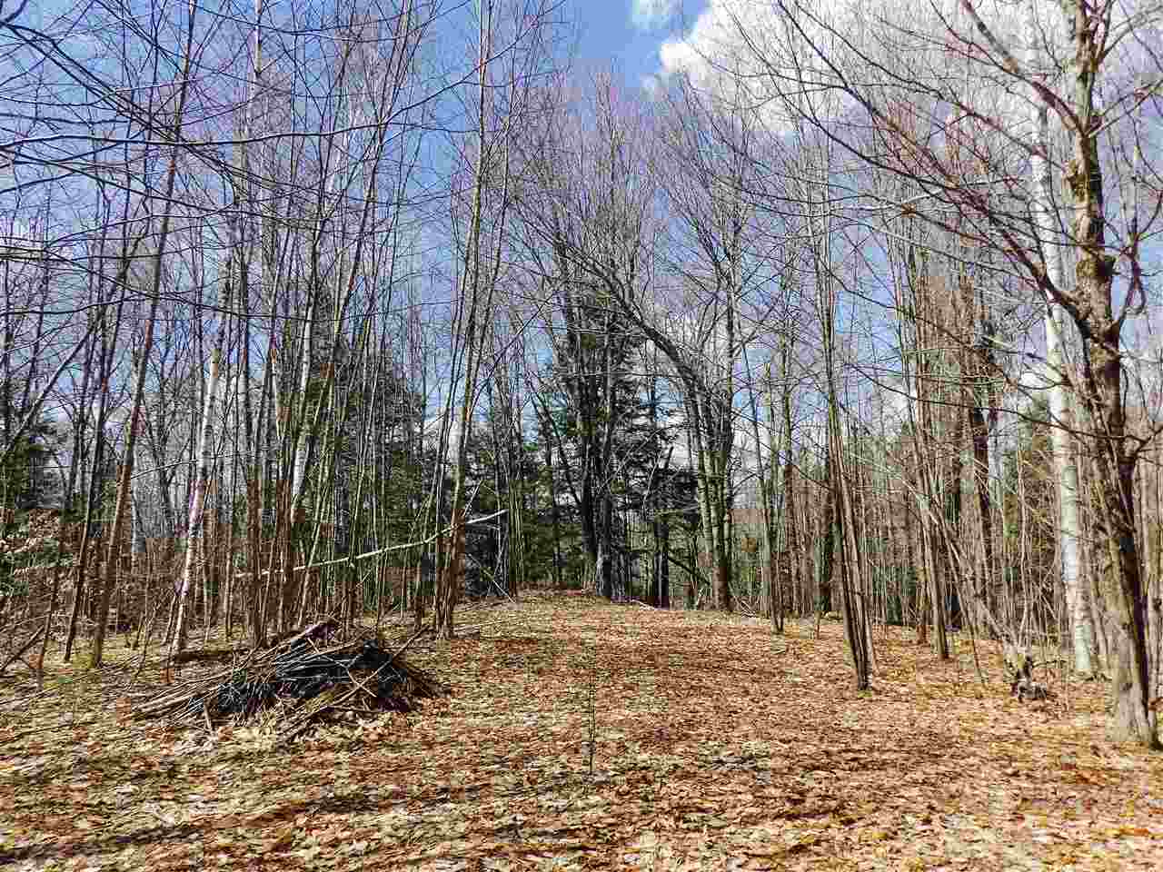 Lot 2 Charlestown Road Acworth, NH 03601 - Photo 2 of 9 Gallery Image 2