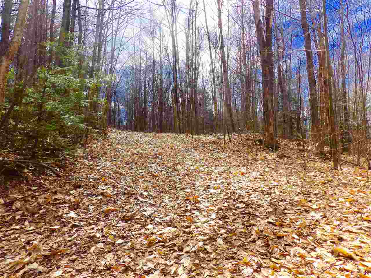 Lot 2 Charlestown Road Acworth, NH 03601 - Photo 3 of 9 Gallery Image 3